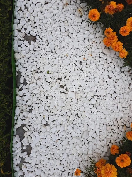 Çiçek, çimen ve taşlar