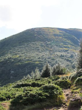 güzel dağ manzarası. 