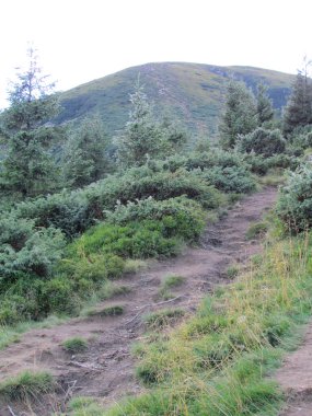 güzel dağ manzarası.