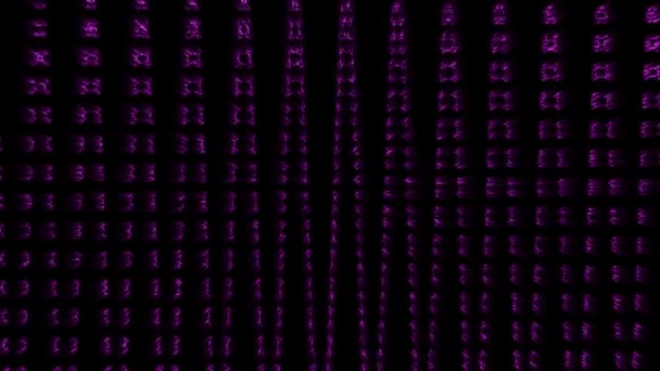 Animado Abstract Glowing Purple Partículas Vídeo Fondo Negro Gran Video — Vídeo de stock