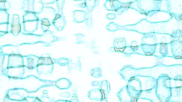 Turquoise Abstrak Animasi Pada Video Stok Latar Belakang Putih Adalah — Stok Video