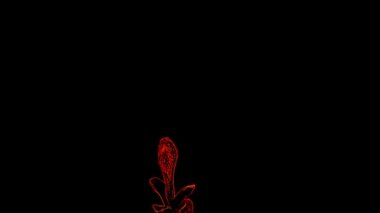 Red Luminescent Leaf on Black Background stok videosu harika bir video. Bu 1920x1080 (HD) video klibi herhangi bir projede arka plan olarak kullanılabilir. Bu görüntüler bir sonraki kurgunda, projende ya da filminde harika görünecek..
