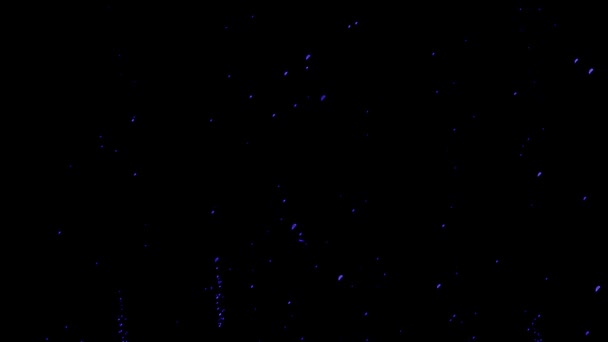 Blue Particles Bubbles Black Background Stock Video Een Geweldige Video — Stockvideo