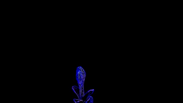 Blue Luminescent Leaf Black Background Est Une Excellente Vidéo Clip — Video