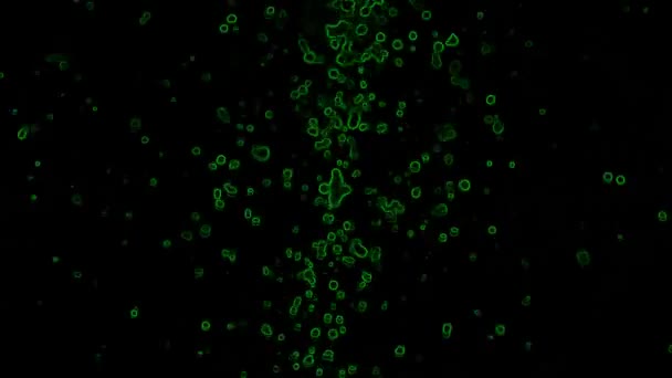 Green Particles Black Background Stock Video Great Video 1920X1080 Video — Stock Video