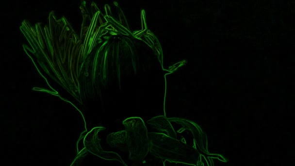 Green Luminous Flower Black Background Stock Video Ist Ein Großartiges — Stockvideo