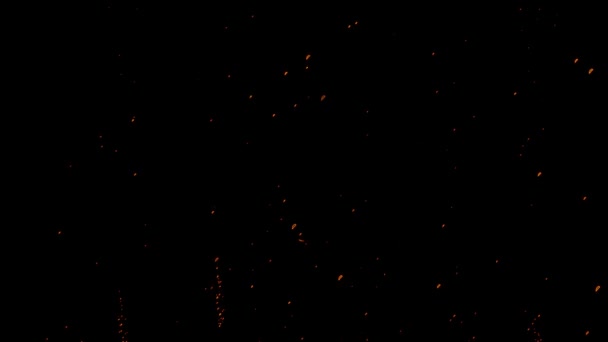 Orange Particules Bulles Sur Fond Noir Vidéo Stock Est Une — Video