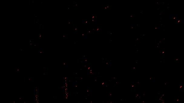 Red Particles Bubbles Black Háttér Stock Videó Egy Nagyszerű Videó — Stock videók