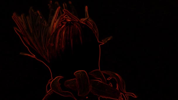 Rouge Fleur Luminescente sur un fond noir vidéo de stock est une excellente vidéo. Ce clip vidéo 1920x1080 (HD) peut être utilisé comme arrière-plan dans n'importe quel projet. Ces images seront superbes dans votre prochain montage, projet ou film. 