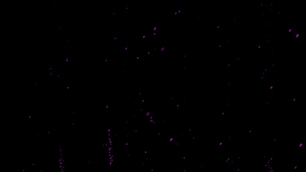Violet Particles Bubbles Black Background Stock Video Ist Ein Großartiges — Stockvideo