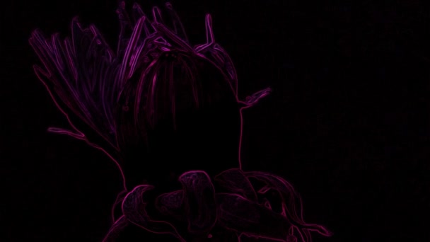 Violet Fluorescent Flower Black Background Est Une Excellente Vidéo Clip — Video