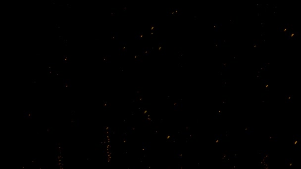 Yellow Particles Bubbles Black Background Stock Video Great Video 1920X1080 — Stock Video