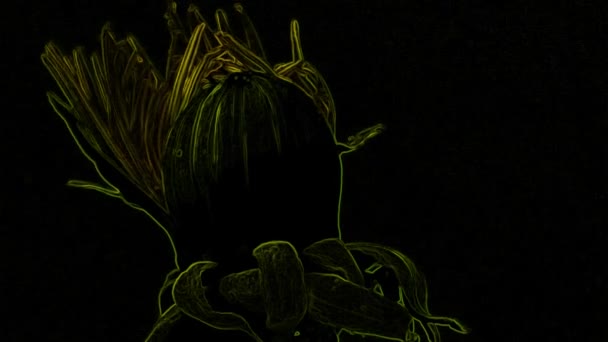 Yellow Luminescent Flower Black Background Stock Vídeo Ótimo Vídeo Este — Vídeo de Stock