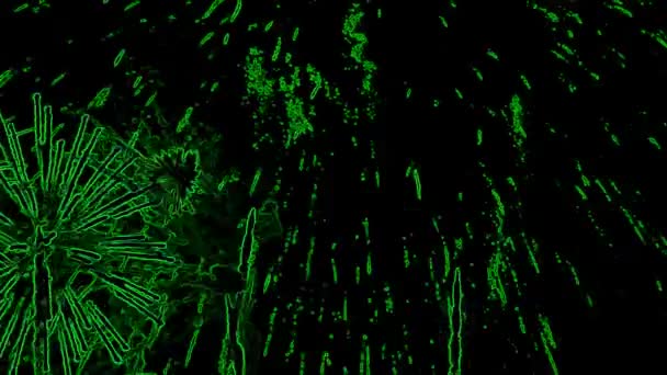 Abstract Achtergrond Groen Vuurwerk Black Stock Video Een Geweldige Video — Stockvideo