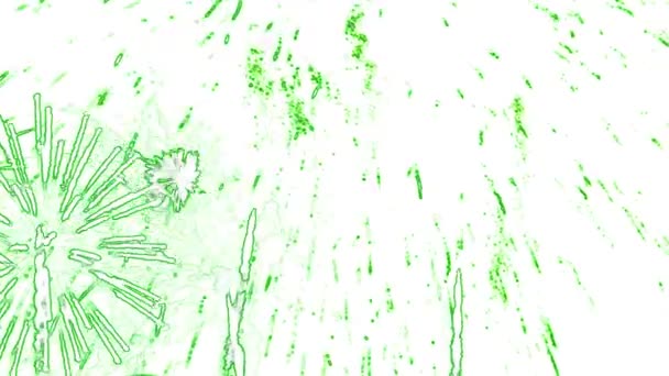 White Stock Abstract Background Green Fireworks 비디오입니다 1920X1080 비디오 클립은 — 비디오