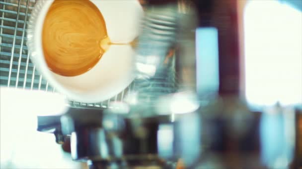 Coffee espresso preparation. Stock footage. — Stock Video