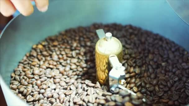 Kavrulmuş kahve karıştırma. Kötü tahıl kısmi kaldırılması. Kavrulmuş kahve çekirdekleri profesyonel bir makine tarafından sıralama karıştırıcı var. Ağır çekim. — Stok video