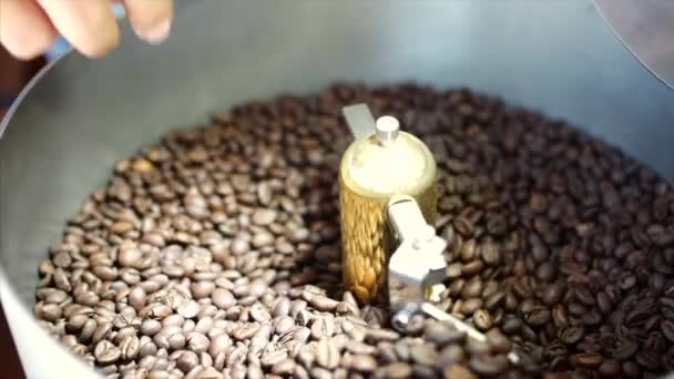 Mischung von geröstetem Kaffee. Teilweise Beseitigung schlechter Körner. Die gerösteten Kaffeebohnen kamen mit einer professionellen Maschine auf den Mixer. Zeitlupe. — Stockvideo