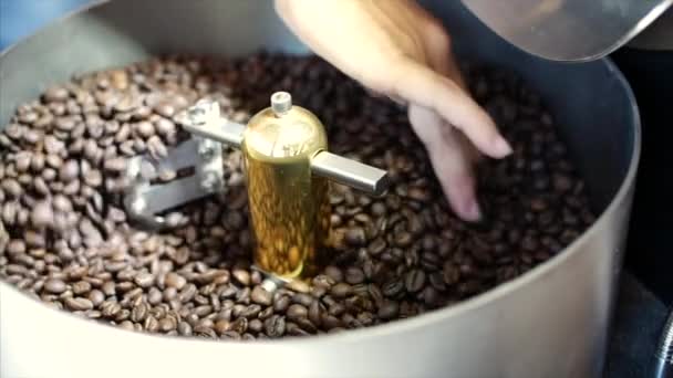 Mezcla de café tostado. Eliminación parcial de granos malos. Los granos de café tostados consiguieron en la clasificadora de la batidora por una máquina profesional. Movimiento lento . — Vídeos de Stock