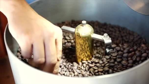 Mezcla de café tostado. Eliminación parcial de granos malos. Los granos de café tostados consiguieron en la clasificadora de la batidora por una máquina profesional. Movimiento lento . — Vídeos de Stock