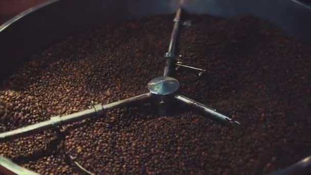 Mezcla de café tostado. Eliminación parcial de granos malos. Los granos de café tostados consiguieron en la clasificadora de la batidora por una máquina profesional. Movimiento lento . — Vídeos de Stock