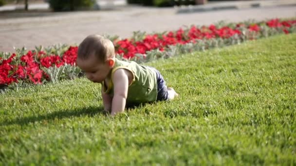 婴孩慢慢地爬行在草甸从。小磨坊了解世界。慢动作. — 图库视频影像