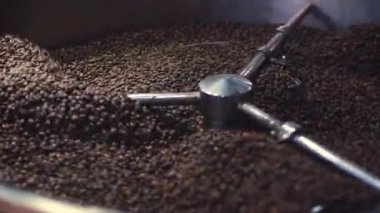 Kavrulmuş kahve karıştırma. Kötü tahıl kısmi kaldırılması. Kavrulmuş kahve çekirdekleri profesyonel bir makine tarafından sıralama karıştırıcı var. Ağır çekim.