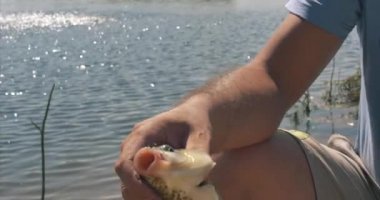 Mutlu baba ve oğul balıkçılık, baba ve oğul sabah balık tutma vardır. Mutlu bir aile.