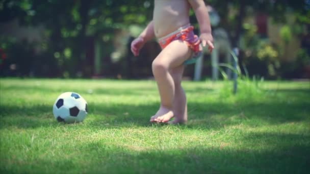 Двухлетний мальчик любит играть в футбол в парке, бегать и пинать мяч . — стоковое видео