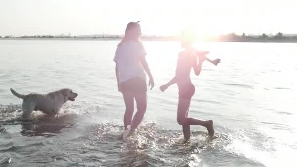Щасливе і безтурботне дитинство. Діти грають з собакою, бігають піском, сміються, грають на річці, запускають іграшковий літак . — стокове відео