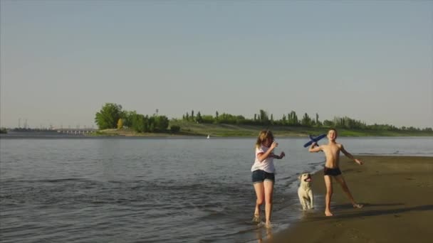 Boldog és gondtalan gyermekkor. Gyerekek játszani egy kutya, fut végig a homok, nevetni, Játssz a riveren, dob játék repülőgép. — Stock videók