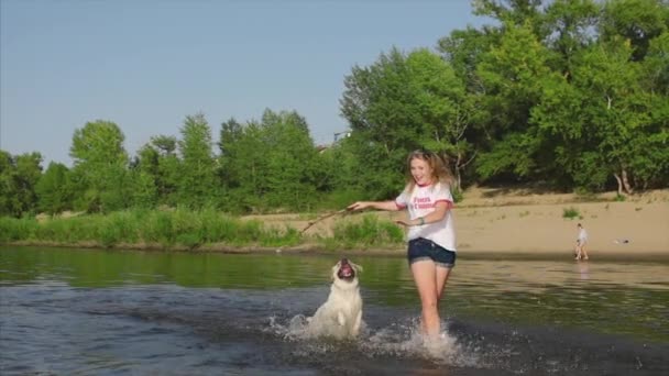 Счастливое и беззаботное детство. Дети играют с собакой, бегают по песку, смеются, играют на реке, запускают игрушечный самолет . — стоковое видео