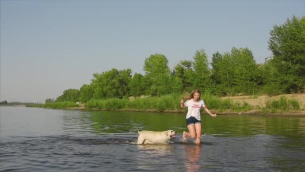 Boldog és gondtalan gyermekkor. Gyerekek játszani egy kutya, fut végig a homok, nevetni, Játssz a riveren, dob játék repülőgép. — Stock videók