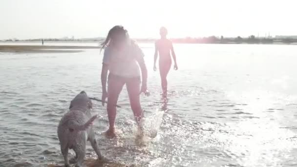 Infância feliz e despreocupada. Crianças brincam com um cachorro, correm ao longo da areia, riem, brincam no rio, lançam um avião de brinquedo . — Vídeo de Stock