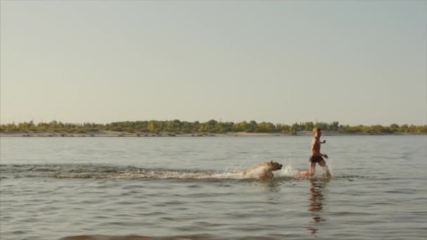 Glückliche und unbeschwerte Kindheit. Kinder spielen mit einem Hund, laufen am Sand entlang, lachen, spielen auf dem Fluss, starten ein Spielzeugflugzeug. — Stockvideo