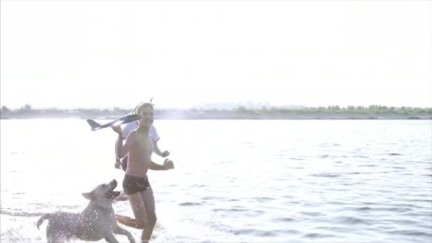 Glad och sorglös barndom. Barn leka med en hund, kör längs sand, skratta, spela på floden, starta en leksak flygplan. — Stockvideo