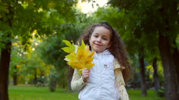 美丽时尚快乐微笑时尚愉快的欧洲小可爱的女孩在白色夹克背心和长金发卷发走在秋季公园享受愉快地玩秋叶, 运行 — 图库视频影像