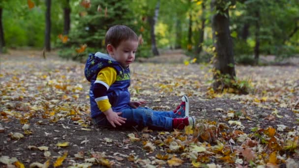 Hermoso feliz sonriente elegante alegre europeo pequeño lindo niño en otoño parque jugando con hojas de otoño lanza hojas de otoño. Concepto de otoño, Infancia feliz . — Vídeo de stock