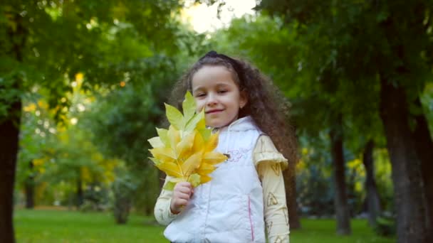 Moda mutlu gülümseyen şık neşeli Avrupa küçük sevimli kız güzel bir beyaz ceket yelek ve uzun sarışın kıvırcık saç yürür Sonbahar Park sahiptir mutlu oynarken ile sonbahar yaprakları, çalışan — Stok video