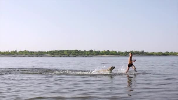 Enfance heureuse et insouciante. Enfants Jouer avec un chien, courir le long du sable, rire, jouer sur la rivière, lancer un avion jouet . — Video