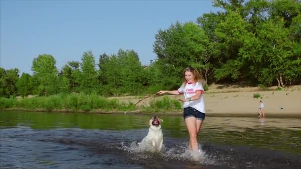 Boldog és gondtalan gyermekkor. Gyerekek játszani egy kutya, fut végig a homok, nevetni, Játssz a riveren, dob játék repülőgép. — Stock videók
