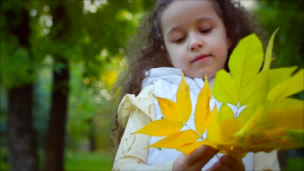 Moda mutlu gülümseyen şık neşeli Avrupa küçük sevimli kız güzel bir beyaz ceket yelek ve uzun sarışın kıvırcık saç yürür Sonbahar Park sahiptir mutlu oynarken ile sonbahar yaprakları, çalışan — Stok video