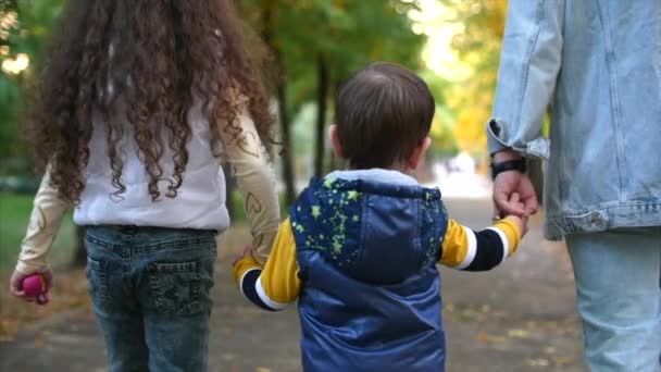 Familia feliz, mamá caminando con los niños tomados de la mano. El concepto de familia, madre caminando en el Parque con niños pequeños . — Vídeo de stock