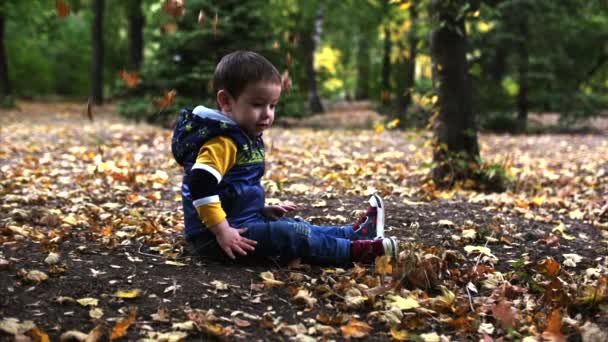 美丽愉快的微笑时尚快乐欧洲小可爱男孩在秋季公园玩秋叶扔秋叶。秋季概念, 快乐童年. — 图库视频影像
