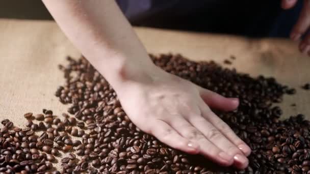 Kaffeebohnen. Hände verstreute Kaffeebohnen. Frauenhände berühren Kaffeebohnen. Qualität des in der Kaffeefliege gerösteten Getreides. 4k. — Stockvideo