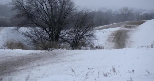 スポーツ、健康レクリエーションの概念。雪の中を巡る四輪バギーツアー. — ストック動画