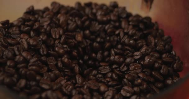 Grãos de café premium depois de assar, moído em um moedor de café. Filmagem de stock. Conceito Comece o Dia com Café . — Vídeo de Stock