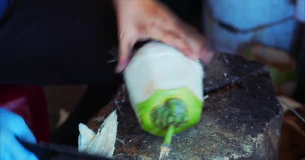 Coconut rengörings teknik, kvinnliga händer cut Coconut Machete. Kvinna kockar en kokosnöt, klipper en kokosnöt att dricka det. 4k — Stockvideo