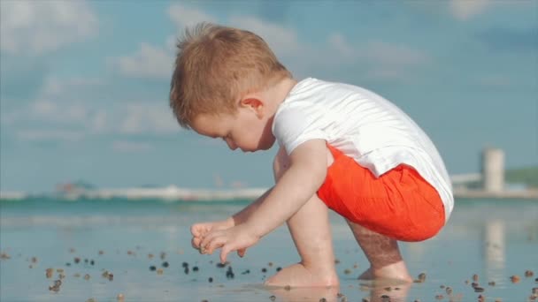 Roztomilé malé dítě se přehrává v blízkosti moře, bere na sebe živé mořské mušle, Krabi, na tropické pláži proti modrému oceánu. Koncept: děti, šťastné dětství, léto, dítě, dovolená. Měkké zaměření — Stock video