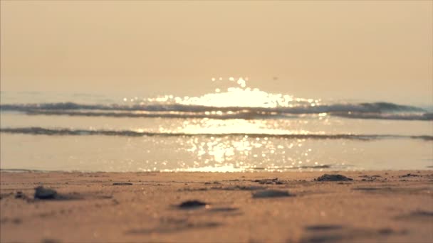 Pôr do sol bonito nos trópicos no fundo do oceano. Summer Tropical Beach and Sea Landscape ao pôr-do-sol . — Vídeo de Stock